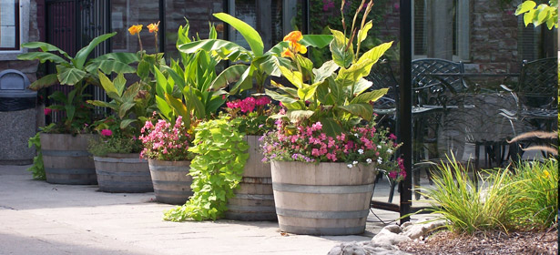 Landscape maintenance