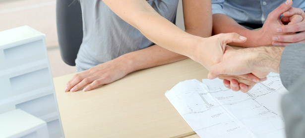 Consultation with Landcape Designer