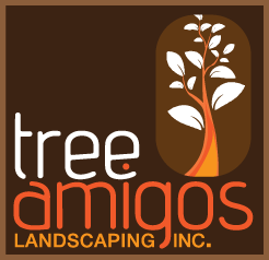 Amigos Design Build Landscapes Amigos Design Build Landscapes
