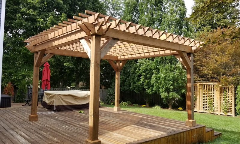 Tree Amigos Pergola Project