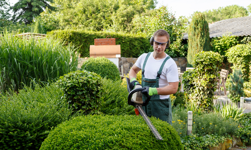 Gardener Maintaining Some Trees