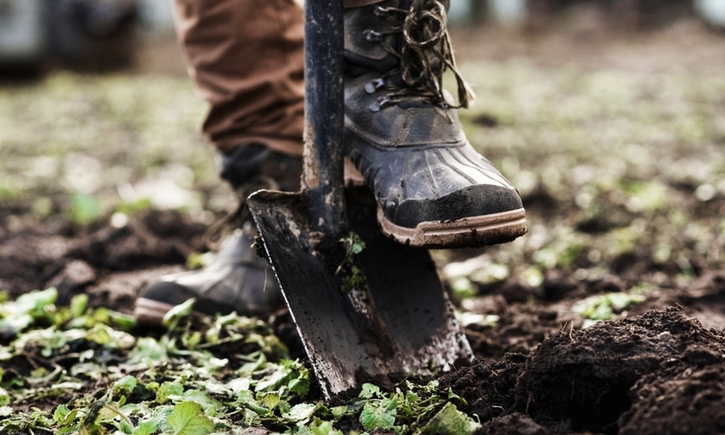 Man planting a garden