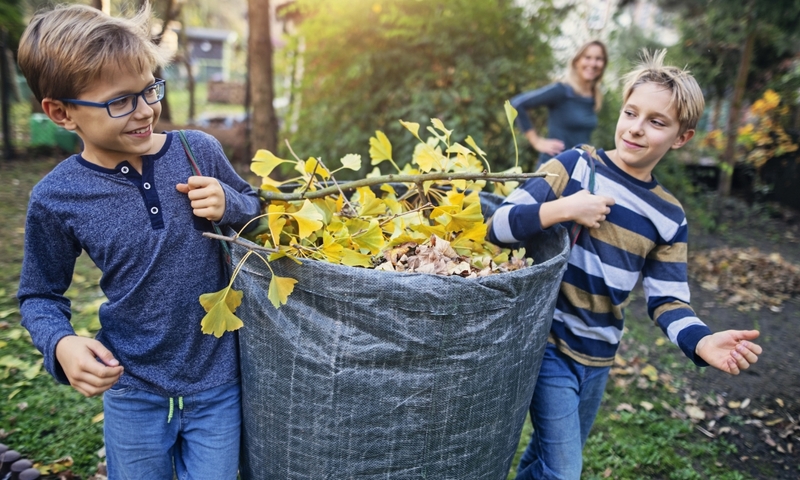 Boys collecting autumn leaves for composting