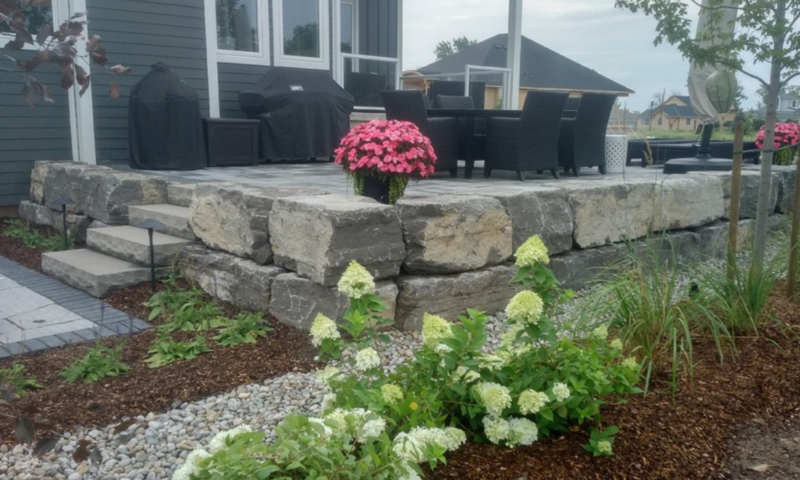 Outdoor stone path in garden with brown mulch