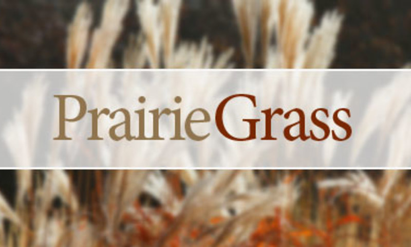 Prairie Style Landscapes