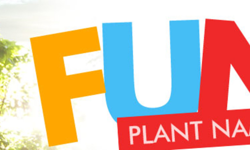 Fun Plant Names