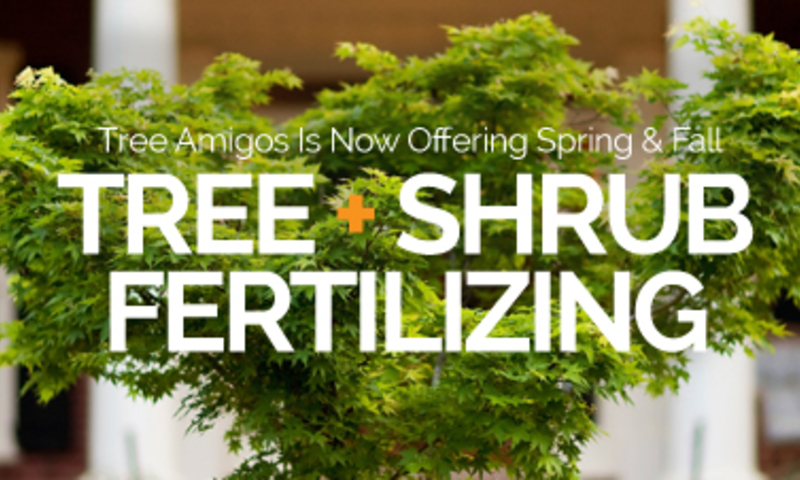 Tree + Shrub Fertilizing