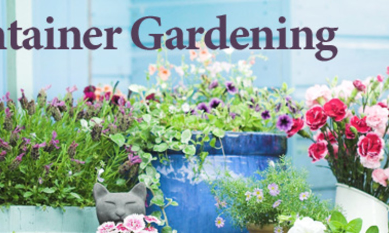 Container Gardening