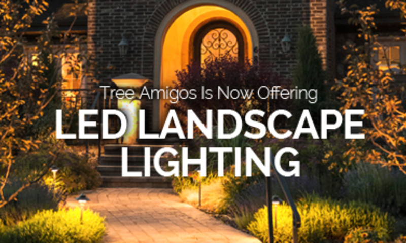 Led Landscape Lighting