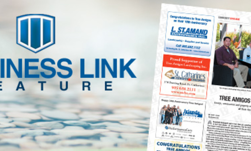 Business Link Feature