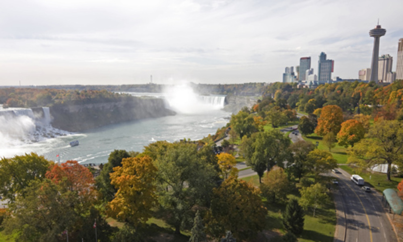 Autumn Foliage Brightens Niagara's Neighbourhoods