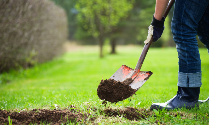 Person shovelling dirt in yard.