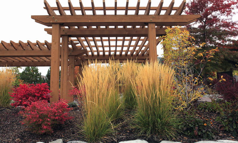 Backyard Pergola