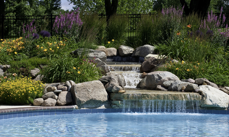 Waterfall in Backyard