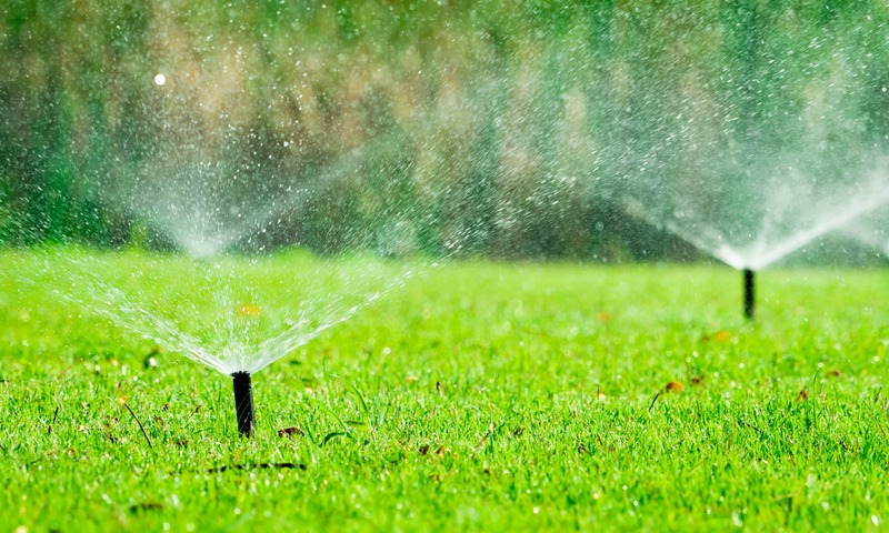 Irrigation Systems in Action